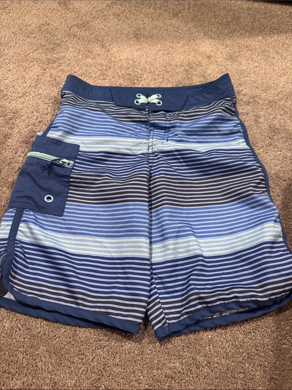 Art Class Swimming Trunks